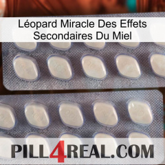 Léopard Miracle Des Effets Secondaires Du Miel 07